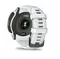 Умные часы Garmin Instinct 2X Solar Whitestone (010-02805-04)
