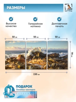 Картина на стену "Волна о камень", модульная