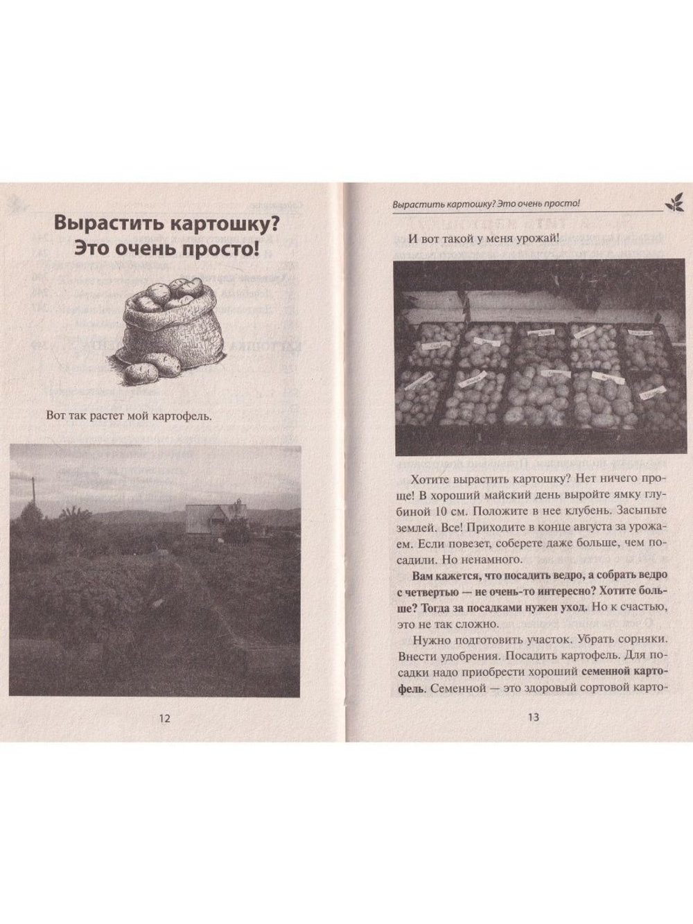 Грядка для отличного урожая. Картофель без химии и хлопот, на любой почве