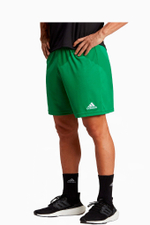 Шорты adidas Entrada 22