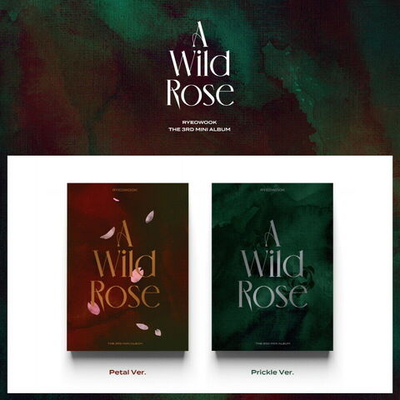 RYEOWOOK Super Junior - A Wild Rose