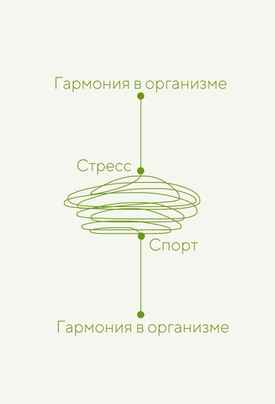 Основы здорового образа жизни: питание, физическая активность, сон и управление стрессом