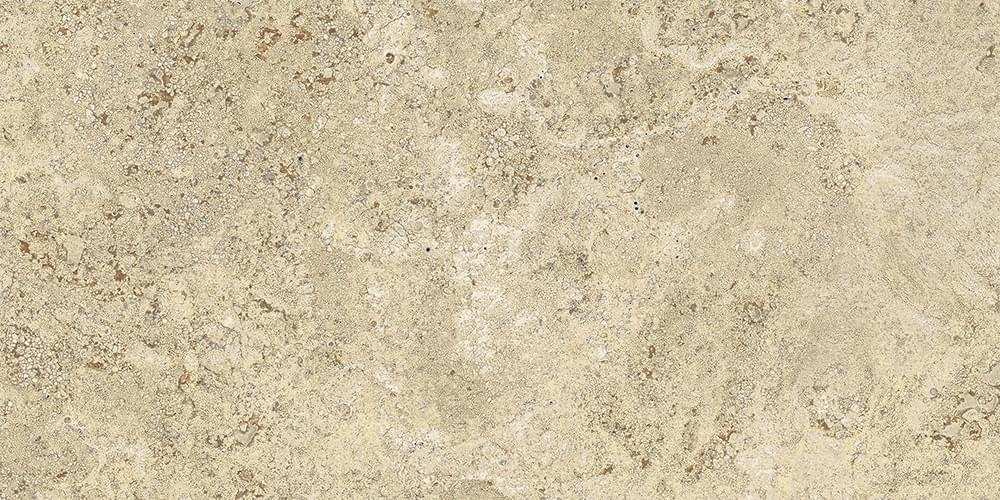 Noce 40x80
