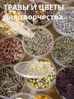 Набор Травы и сухоцветы для творчества №1