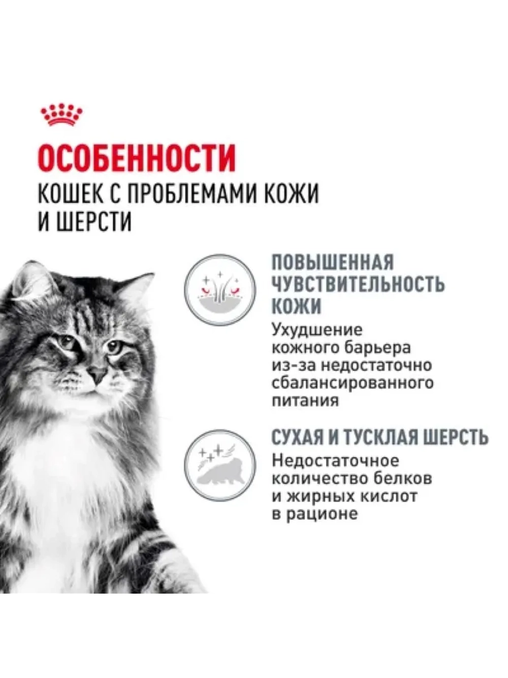 Hair&Skin Care Корм для кошек в желе 85г*28шт