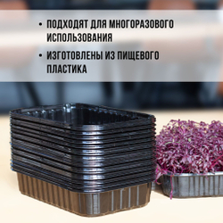 Лоток для выращивания свежей микрозелени / 18*11*5,5 см / 100 шт.