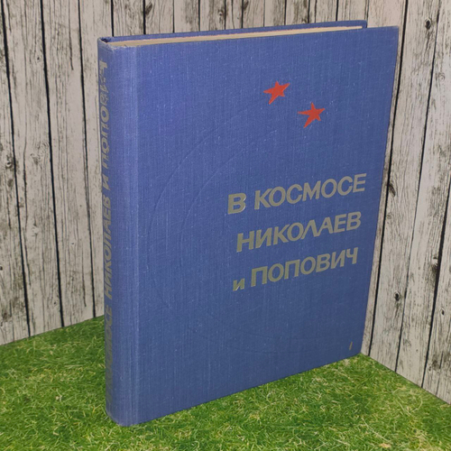 В космосе Николаев и Попович
