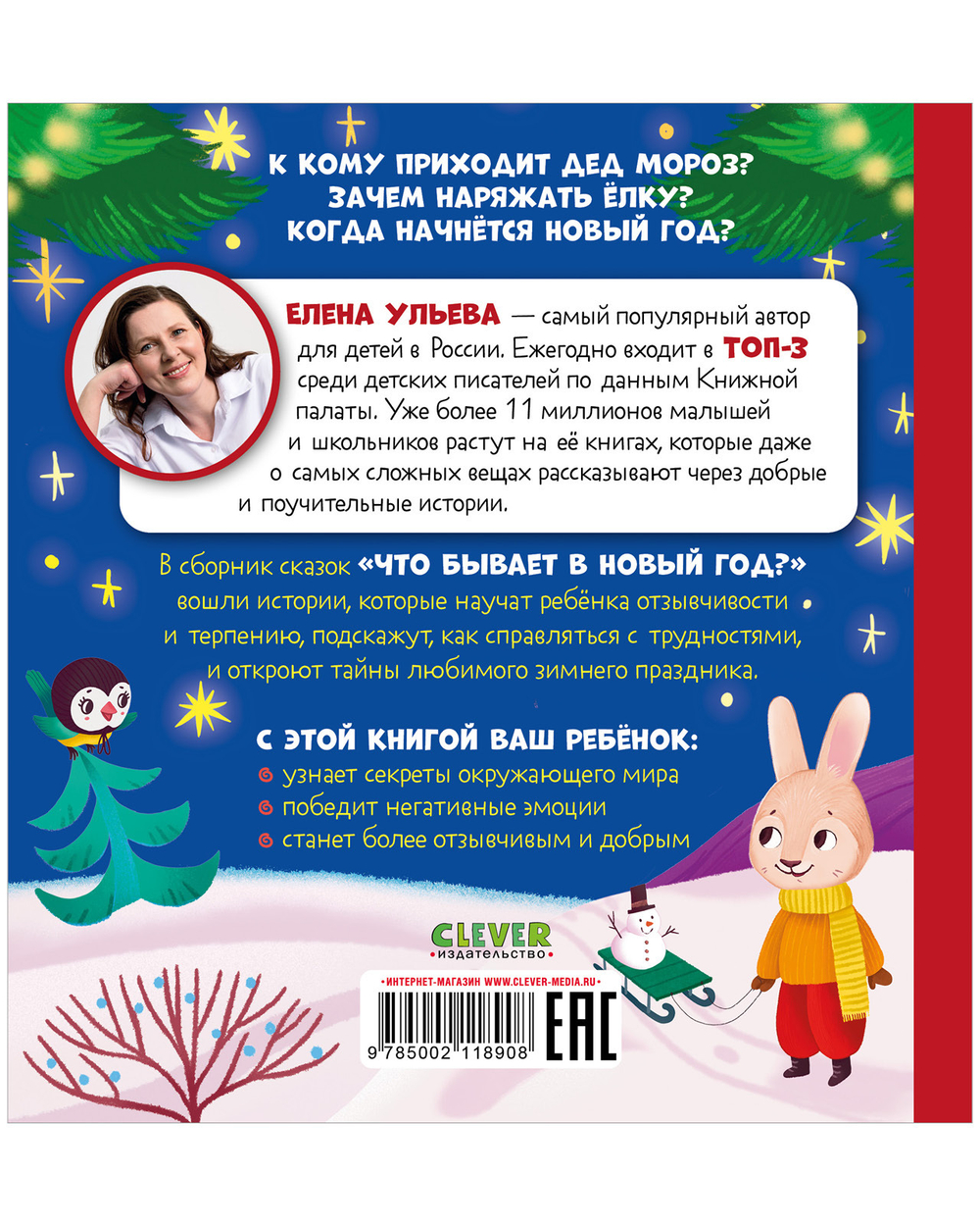 Любознательный малыш. Что бывает в Новый год?