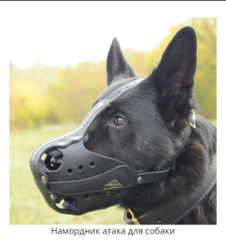 НАМОРДНИК КОЖАНЫЙ "БОЕВОЙ"