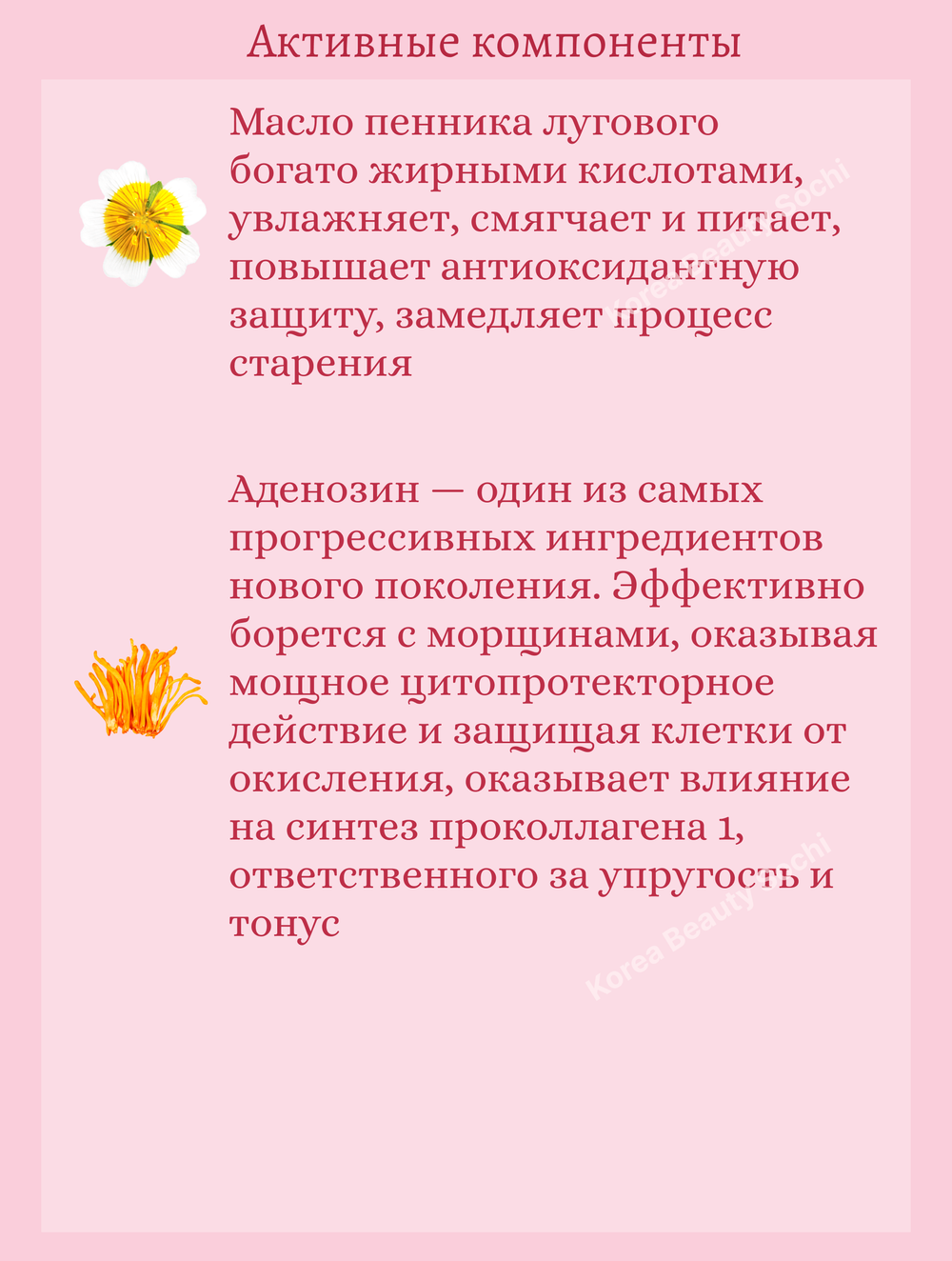 Укрепляющий коллагеновый крем с камелией 50 ml Round Lab Camellia Deep Collagen Firming Cream