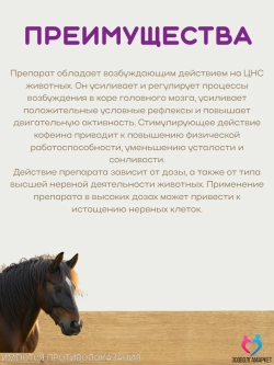 Кофеин бензоат натрия 20% для животных, 100 мл