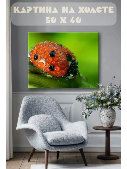 Картина на стену 40 X 50 Божья коровка