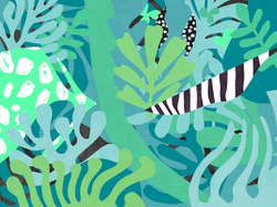 MATISSE 13