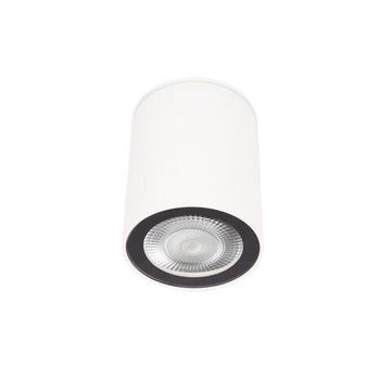 Накладной светильник 1*GU10 10344 White белый Rush LOFT IT
