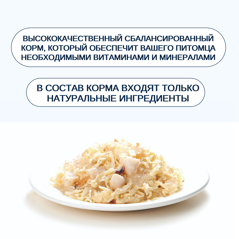 Wanpy Cat Консервы для кошек "Курица с гребешком" 24 шт по 95 г