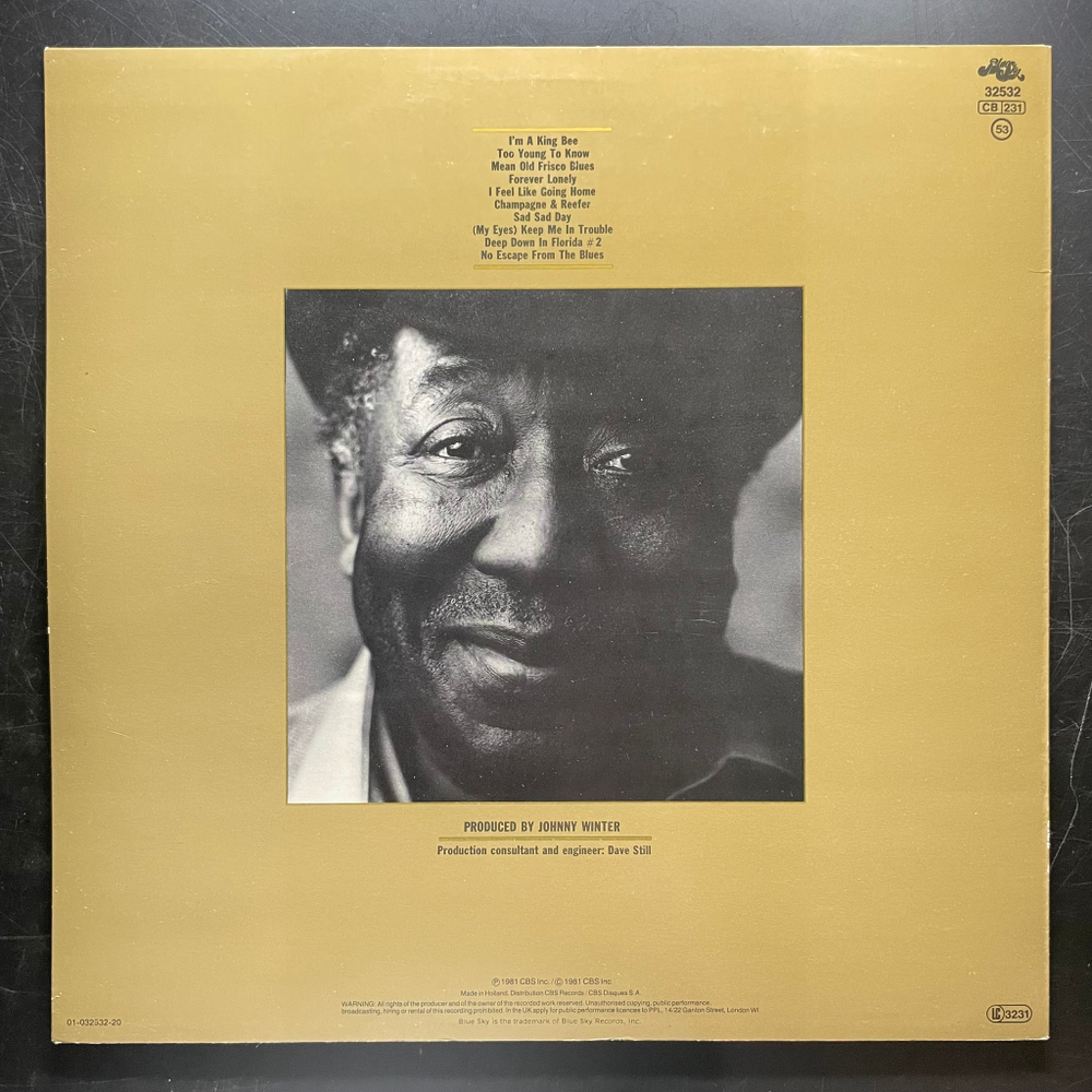 Muddy Waters ‎– King Bee (Голландия)