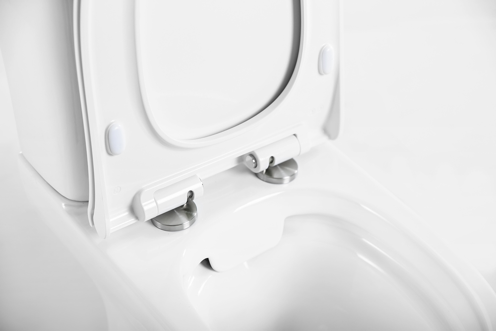 Унитаз-компакт безободковый с сиденьем BelBagno STEAM BB130CPR + BB130T