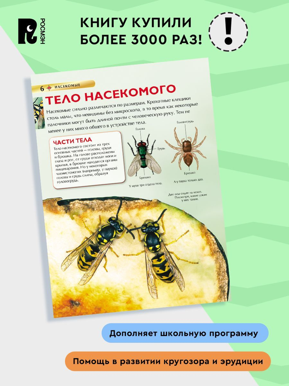 Насекомые. Детская энциклопедия