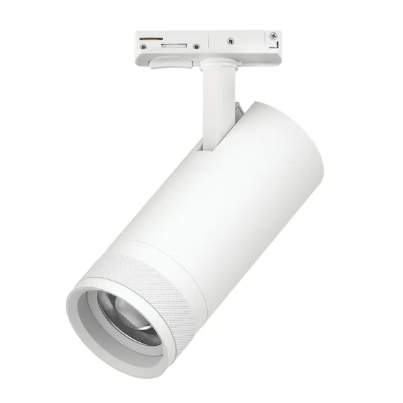 Трековый светильник Canno Pro C4206SS Lightstar