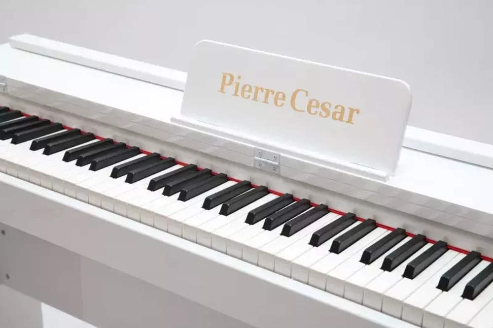 Pierre Cesar DP-12-PH