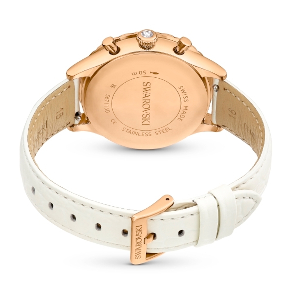 OCTEA CHRONO:LS IVO//PRO