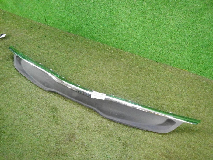 DSCN4238.JPG