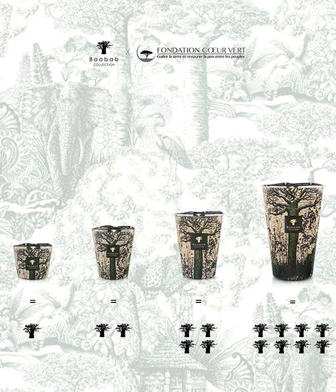 Kani, свеча MAX 16 Sacred Trees collection, Baobab Collection
