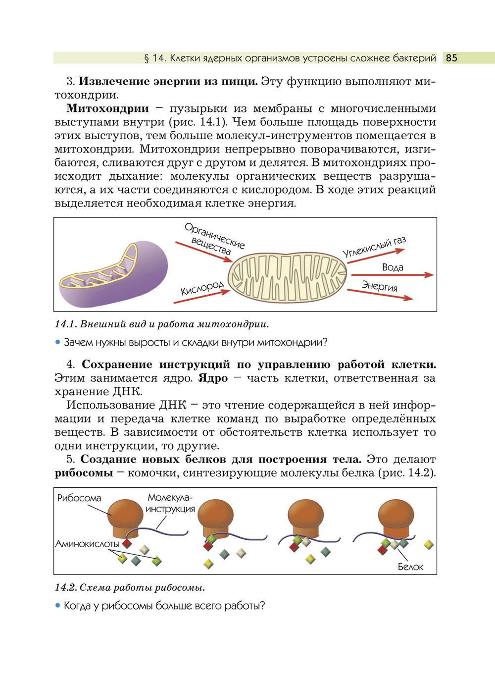 Биология 5 кл. Учебник