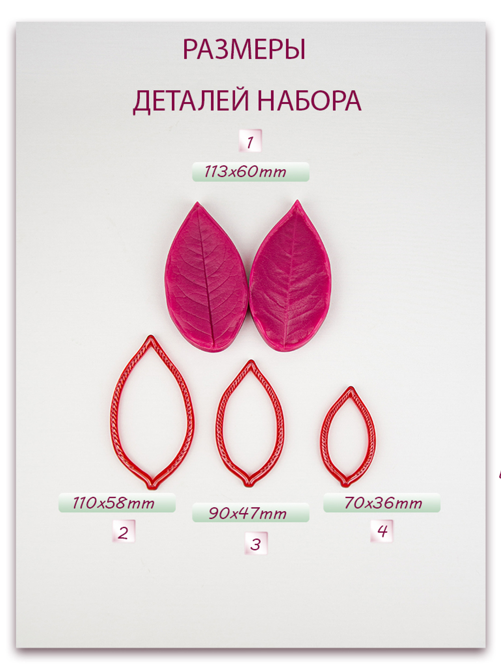 Лист розы XL