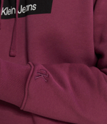 Худи HYPER REAL BOX LOGO CALVIN KLEIN JEANS - фиолетовый(J30J324106)
