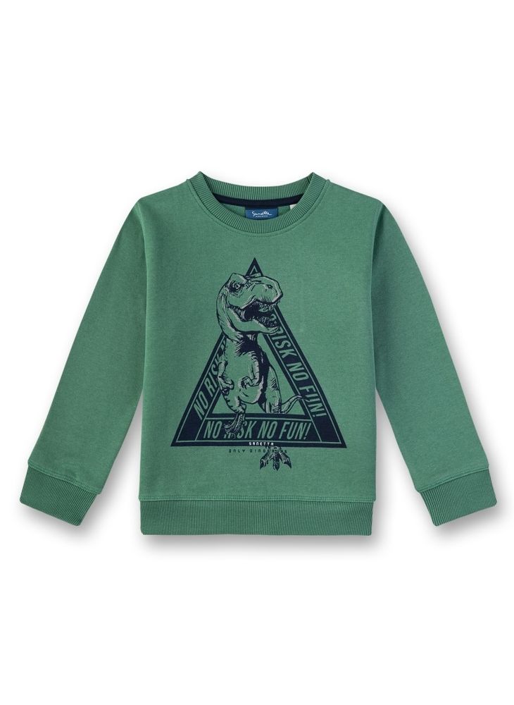 Толстовка Sanetta KIDSWEAR 125279 4945