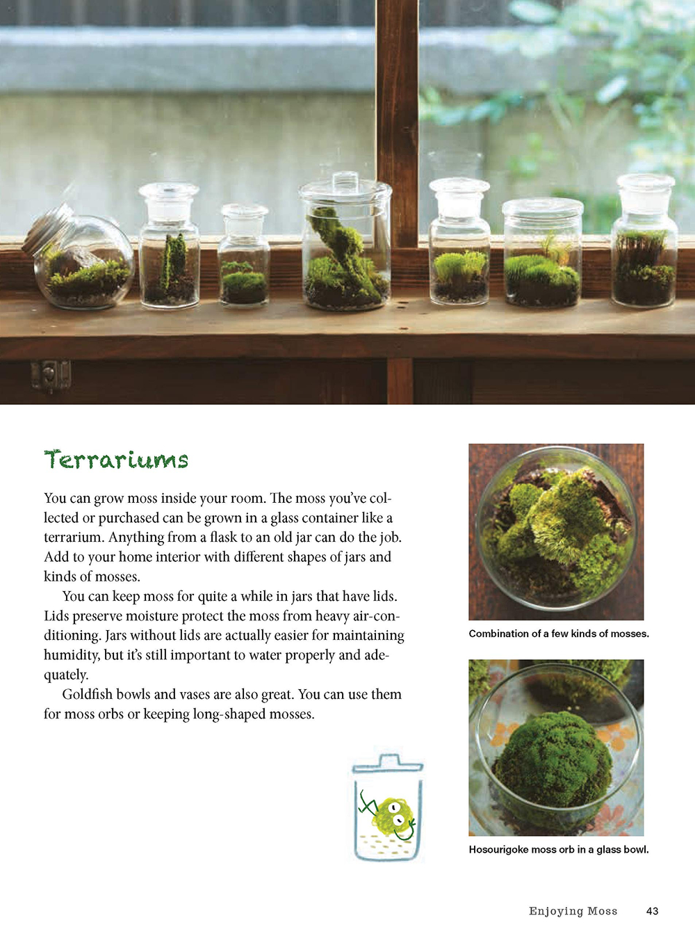 Moss Ball Bonsai: 100 Simple Kokedama Gardens That Are Easy and Fun to Make