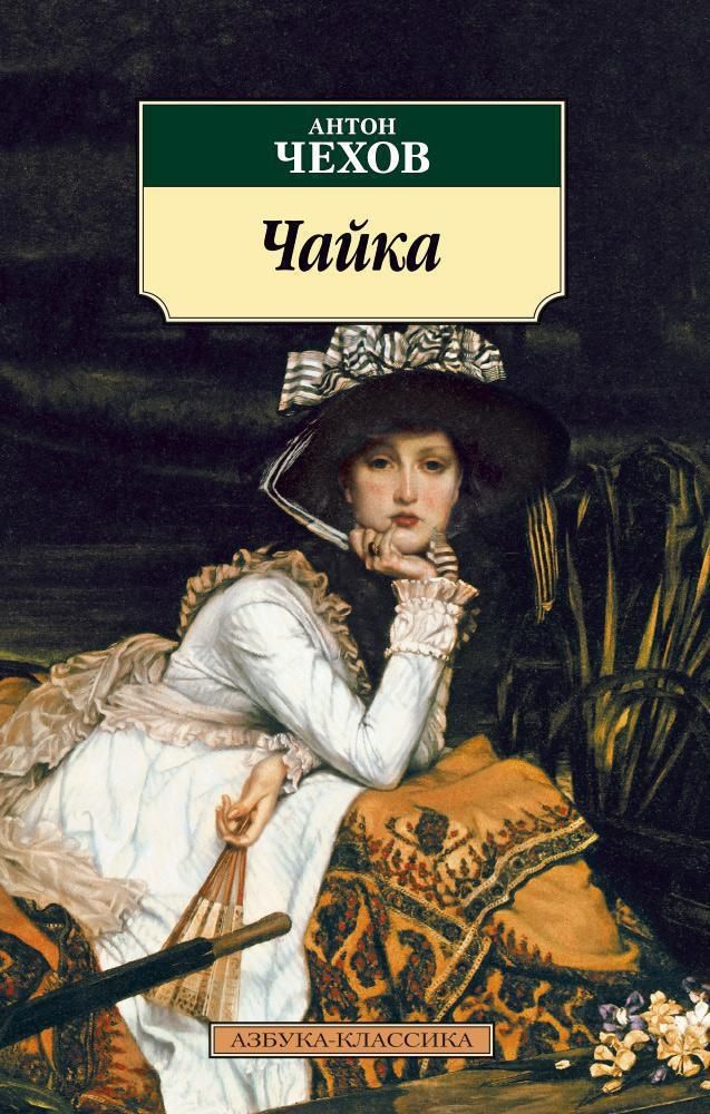 Чайка Чайка