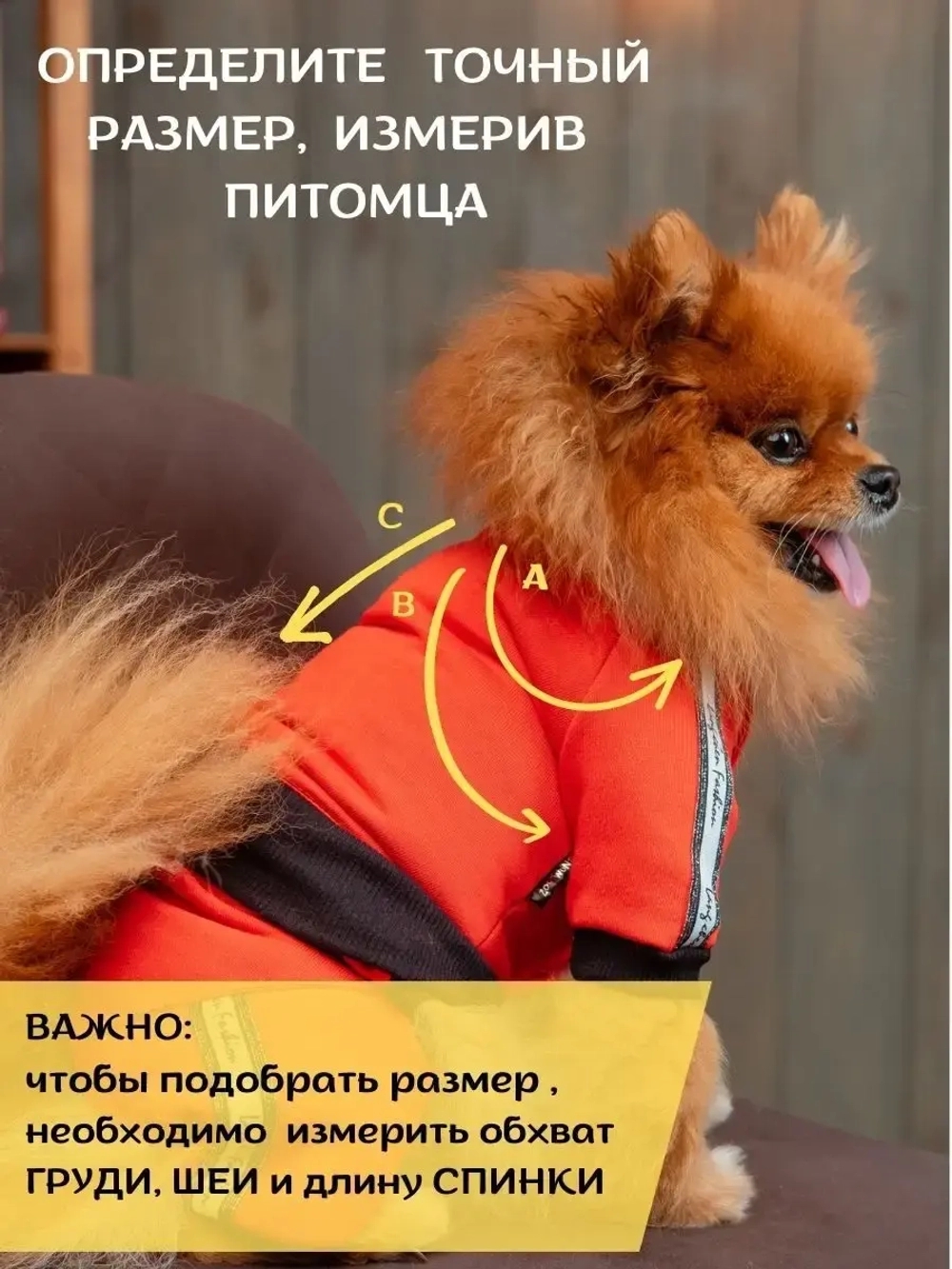Спортивный комбинезон костюм для собак