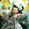 Princess Zelda Dragon - The Legend of Zelda