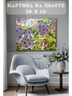 Картина на стену 40 X 50 Цветы флоксы