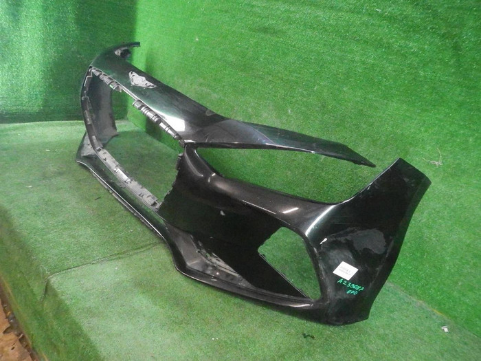 DSCN8437.JPG