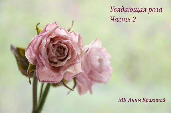 Увядающая роза из холодного фарфора. Часть 2. МК Анны Крахиной. Увядающая роза из холодного фарфора. Часть 2. МК Анны Крахиной.