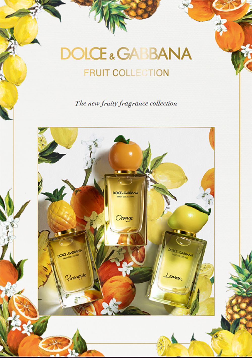 Dolce and Gabbana Pineapple