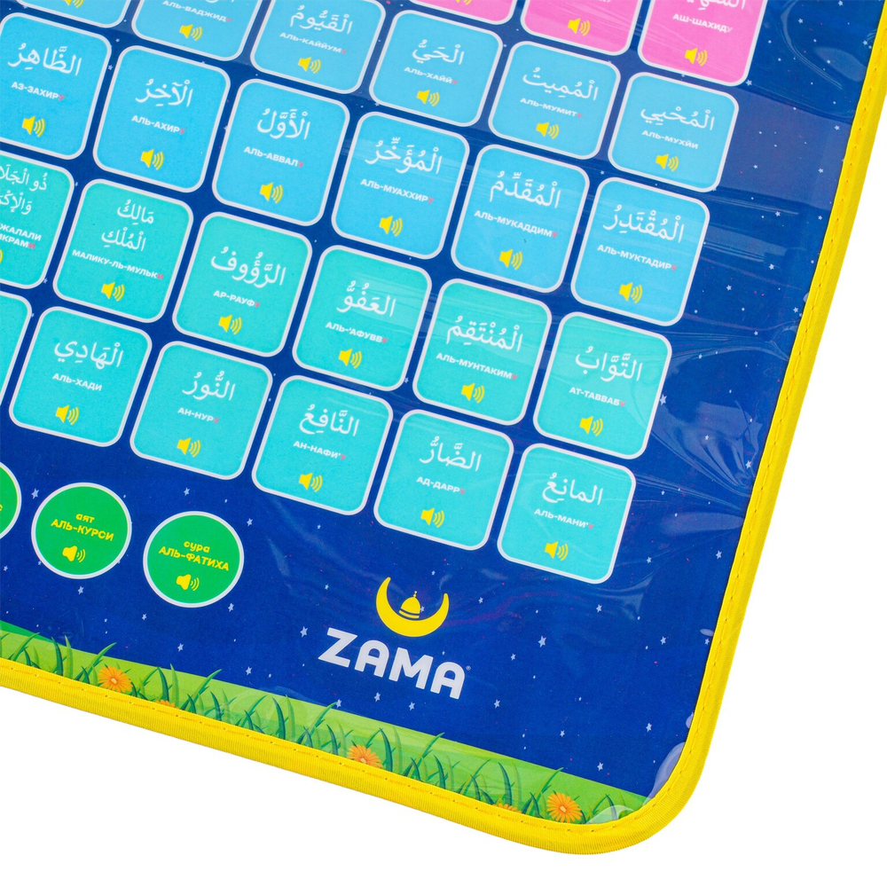 Zama Asma