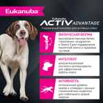 Сухой корм Eukanuba для взрослых собак крупных и очень крупных пород старше 1 года с ягненком 3 кг