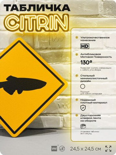 Табличка декоративная "Рыбка данио" на дверь и стену, информационная и предупреждающая, декоративный знак, 24,5х24,5 см, пластиковая, Айдентика Технолоджи