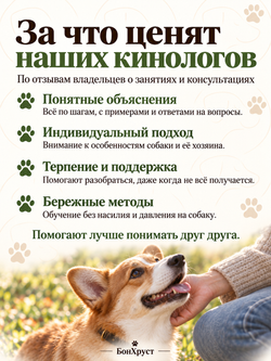Онлайн-консультация кинолога, 30 минут