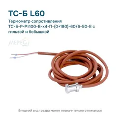 Термометр сопротивления ТС-Б-Р-Рт100-В-х4-П-(0+180)-60/6-50-Е с гильзой и бобышкой