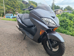 Honda Forza , 2005