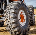 Шина CST 35x12.5-16 119K CL21M Dragon Claw