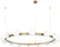 Подвесной светильник Hoop 10311/14 Loft It