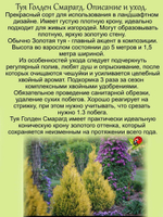 Туя Голден Смарагд Золотая