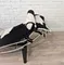 Кресло-шезлонг Chaise Lounge, натуральная шкура пони