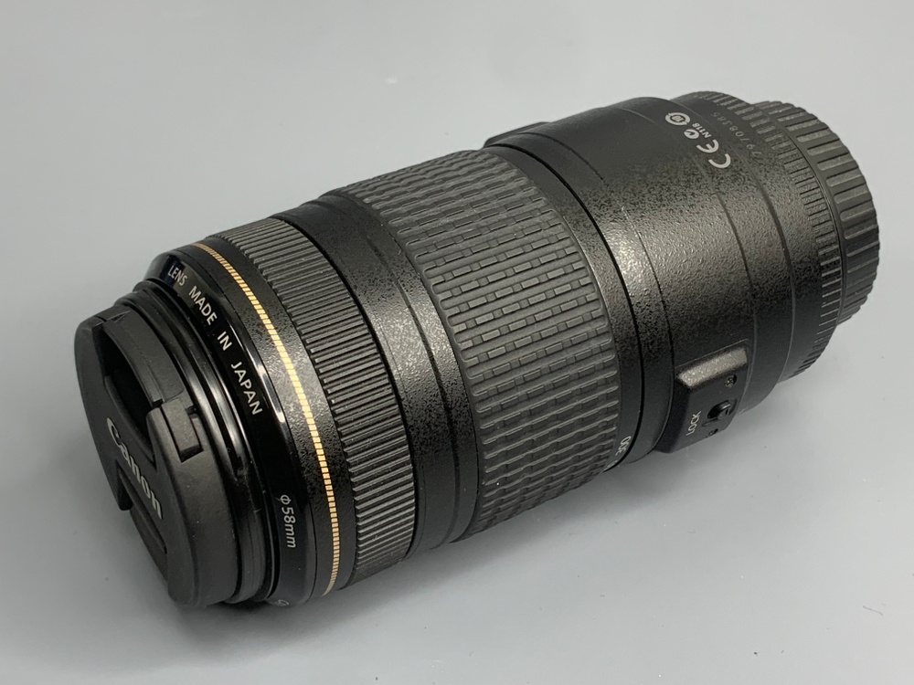 Canon EF 70-300mm IS USM